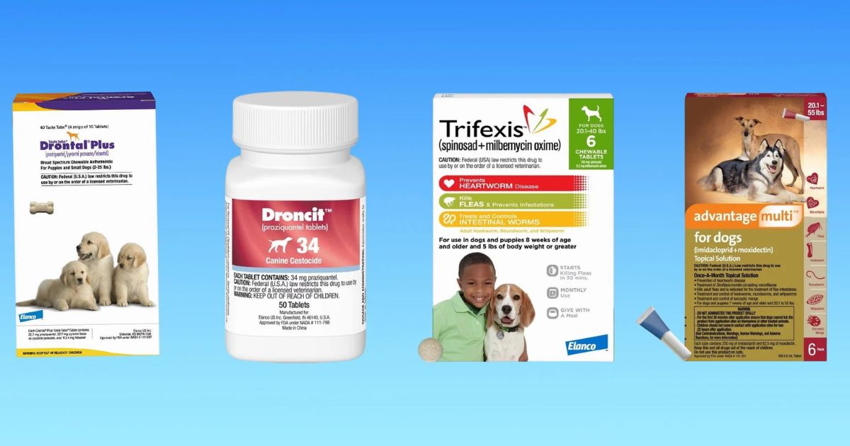 Vet Recommended Dewormer for Dogs