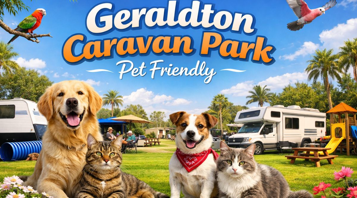 Geraldton Caravan Park Pet Friendly – Best Stay Options for Travelers with Pets
