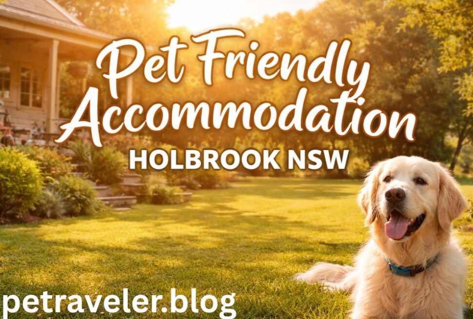 Pet Friendly Accommodation Holbrook NSW.